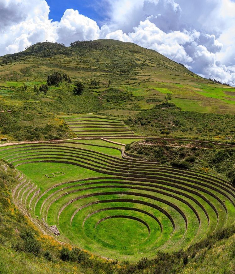 MARAS - MORAY